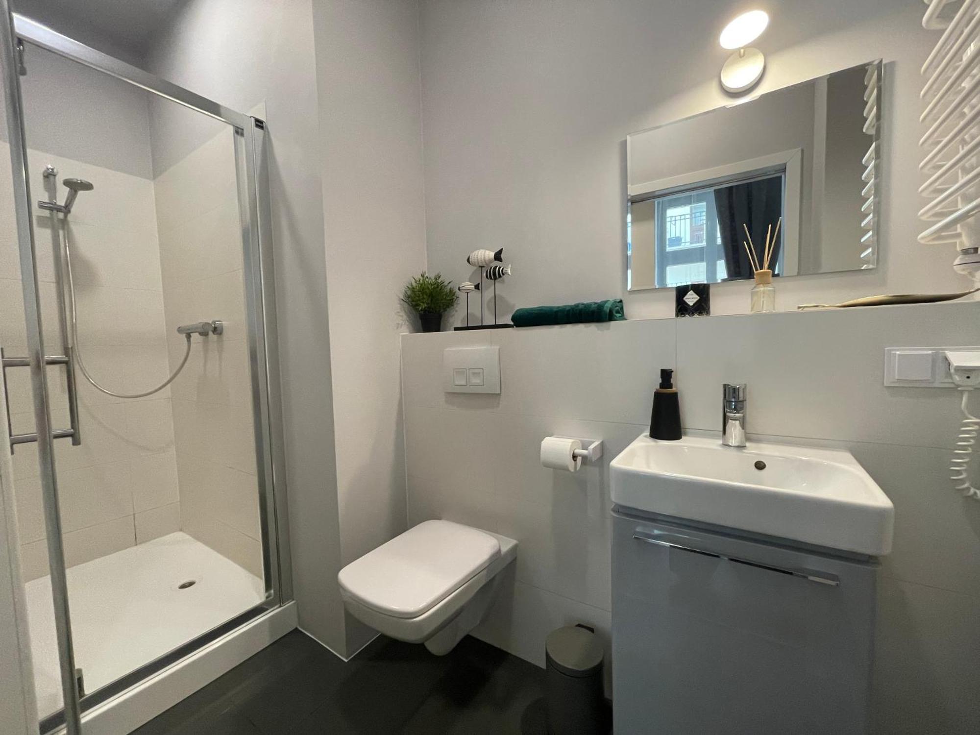Apartament Piotrkowska *